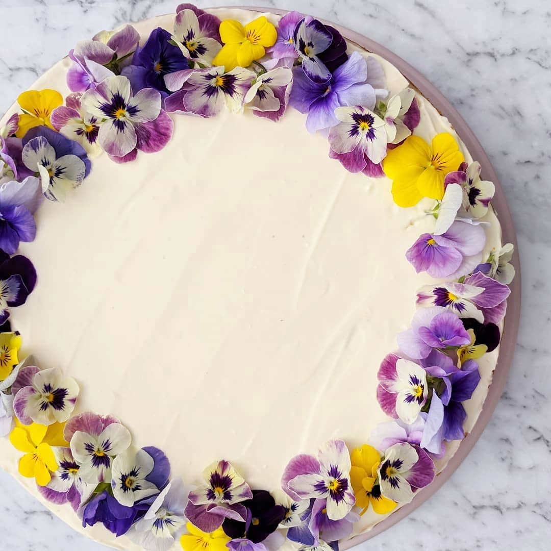 Cheesecake with edible violets